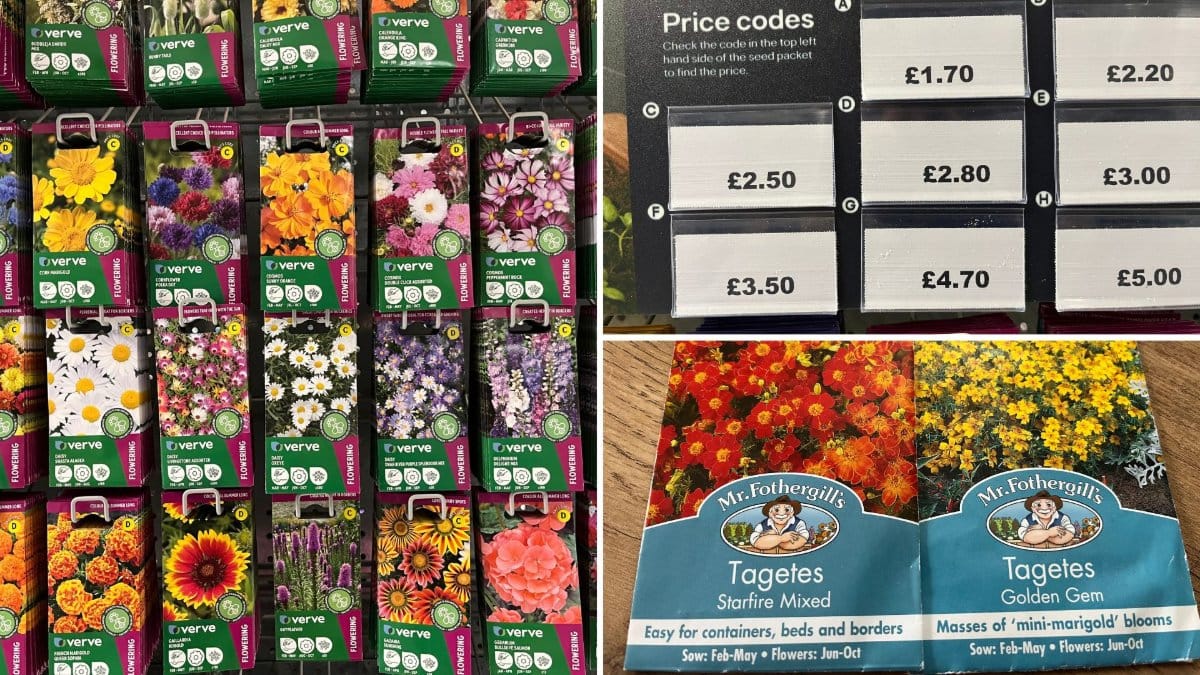 Image shows packets of seeds and price of seeds at B&Q, and packets of Tagetes